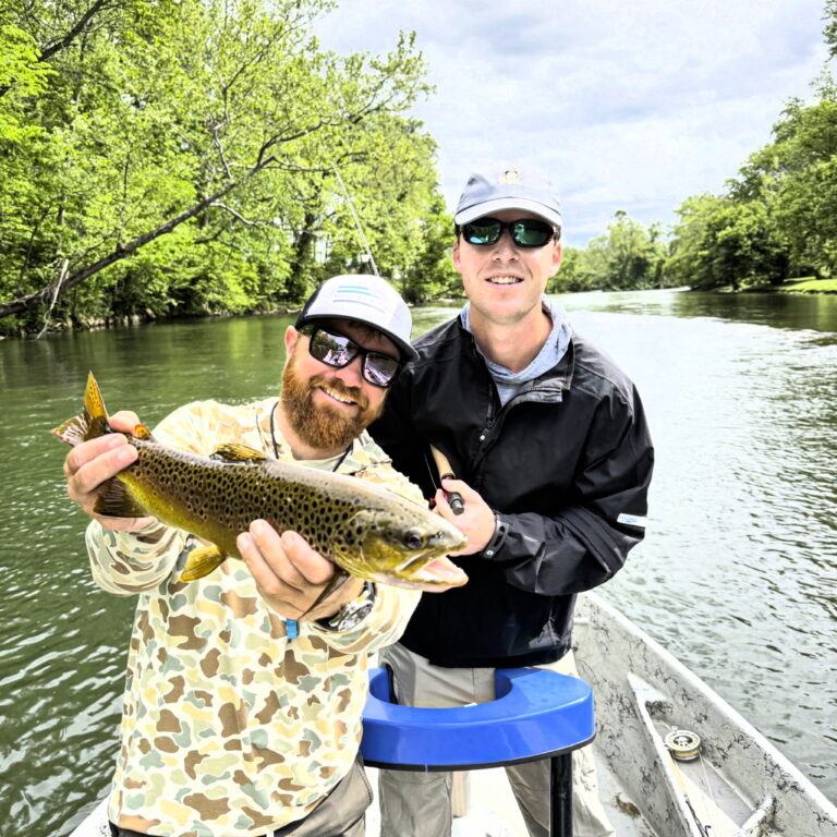Monster brown trout fly fishing south holston